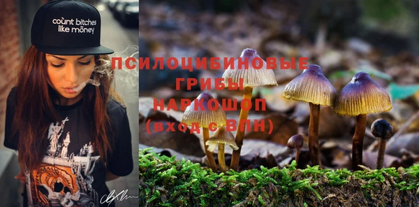 марки lsd Алексин