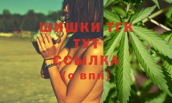 гидропоника Алзамай