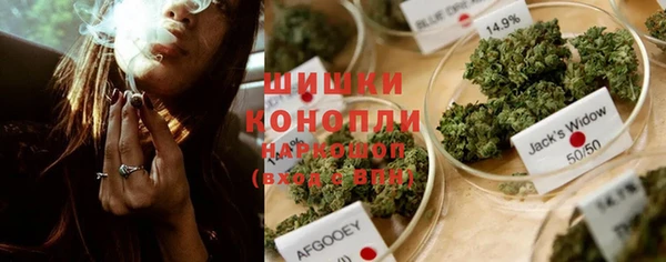 гидропоника Алзамай