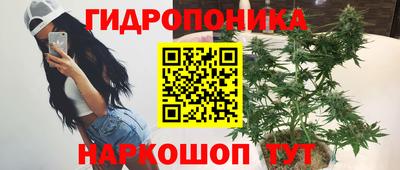 спиды Вязники