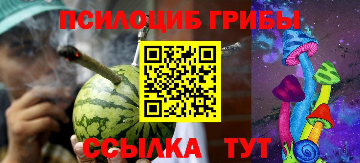 где продают   Псилоцибиновые грибы Cubensis  Вход с VPN  Псилоцибиновые грибы Cubensis  Одинцово 